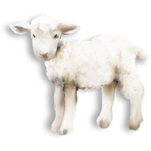 Transparent cute sheep clipar