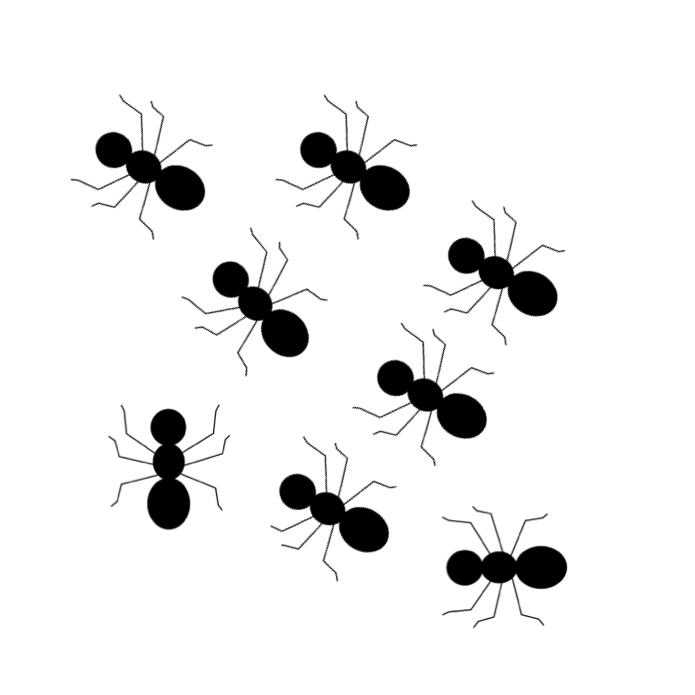 Ants Three Insects Vector Gra