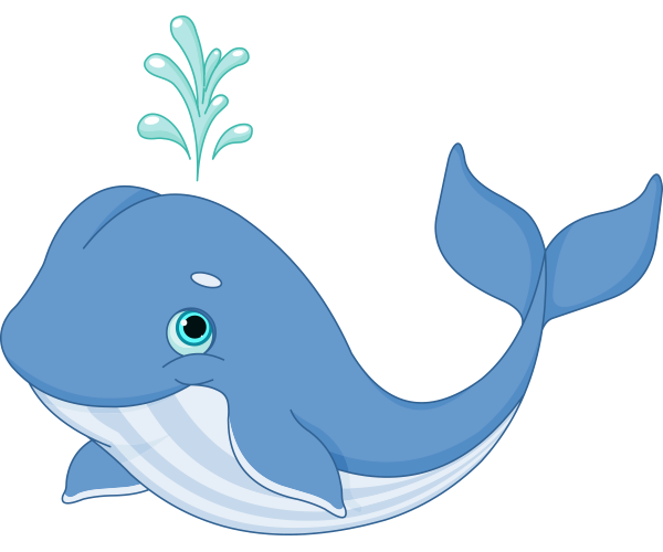 Cartoon whale clipart - Clipa
