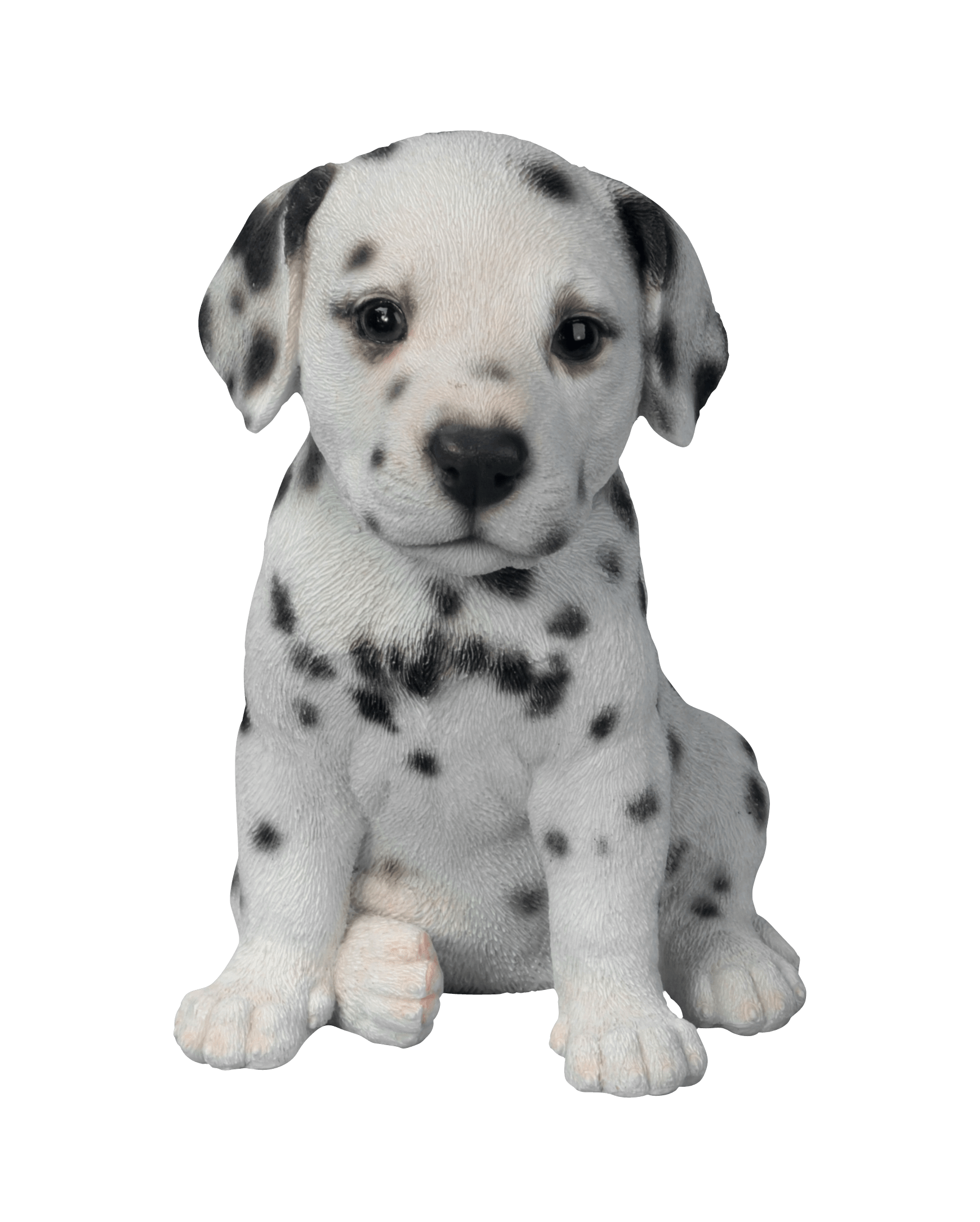 Cute Puppies PNG Black And White - Dalmatian Puppy