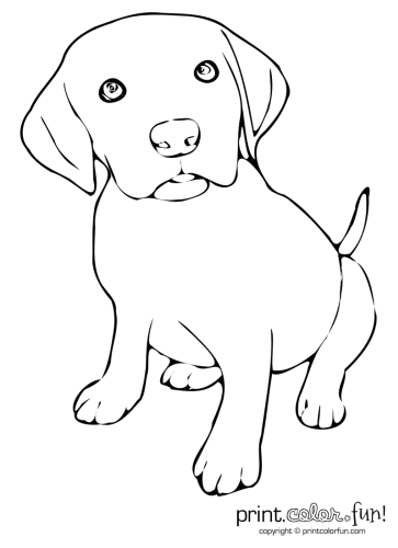 The Hdpng.com  - Cute Puppies Black And White, Transparent background PNG HD thumbnail