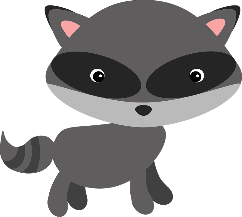 Raccoon, Woodland, Animal, Masked, Adorable - Cute Raccoon, Transparent background PNG HD thumbnail