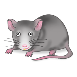 Cute Rat PNG-PlusPNG.com-778