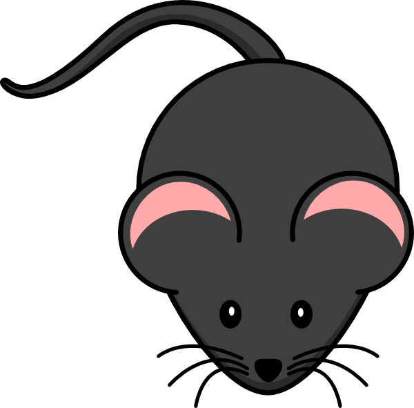 Rat - Cute Rat, Transparent background PNG HD thumbnail