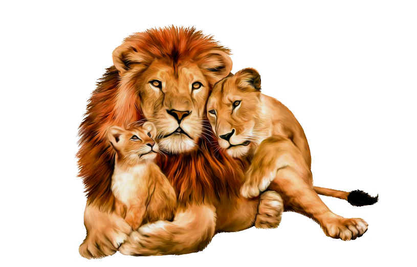 Cute Wild Animal Png - Animals Clipart Png,cartoon Animals Png,cute Animal Png,wild Animals Png, Animals Png Image, Cute Animal Png (8), Transparent background PNG HD thumbnail