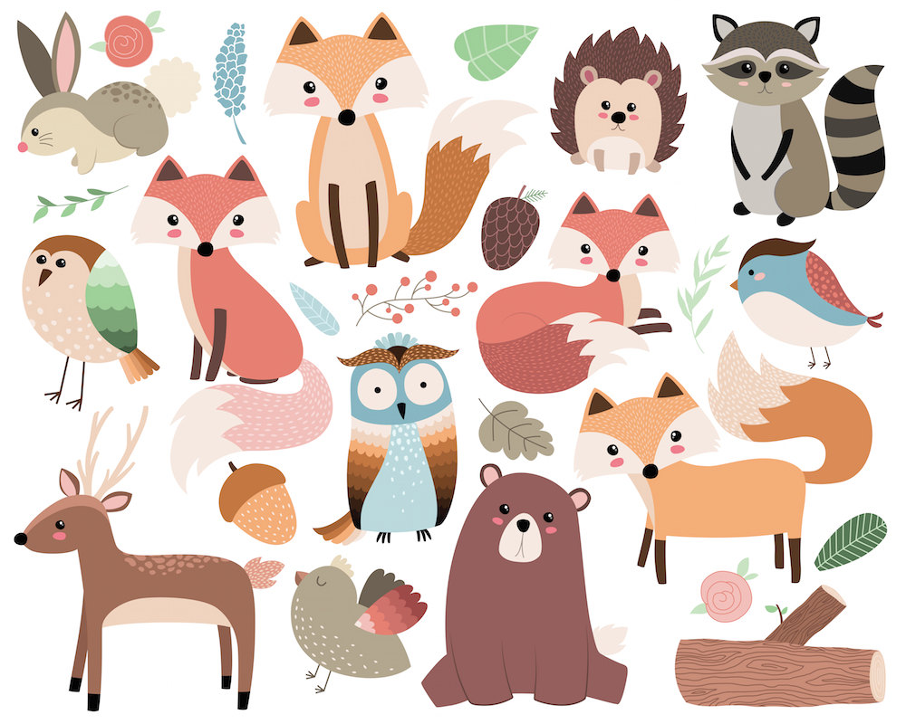 Cute Wild Animal Png - Woodland Forest Animals Clip Art   26 300 Dpi Vector, Png, U0026 Jpg Files   Cute Animal Clip Art, Fox And Critters Illustration, Transparent background PNG HD thumbnail