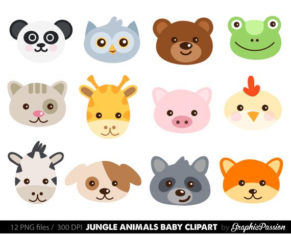 Cute Animal Faces Digital Clipart / Digital Scrapbooking / Zoo Animals Forest Clipart / For Personal And Commercial Use/ Instant Download | Digital Hdpng.com  - Cute Zoo Animals, Transparent background PNG HD thumbnail