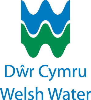 Wales Cymru Logo
