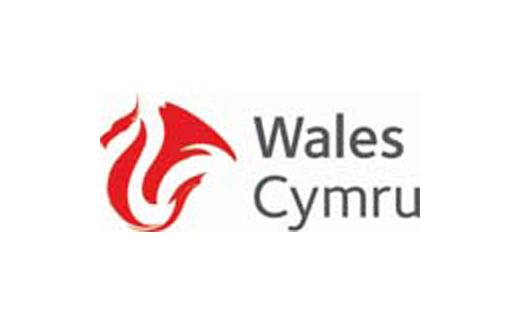Wales Cymru Logo, Cymru PNG - Free PNG