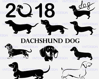 Dachshund Svg   Dachshund Vector   Dachshund Digital Clipart Files For Design Or More, Files - Dachshund Black And White, Transparent background PNG HD thumbnail