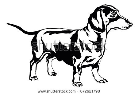 Decorative Portrait Of Standing In Profile Dog Dachshund, Vector Isolated Illustration In Black Color On - Dachshund Black And White, Transparent background PNG HD thumbnail