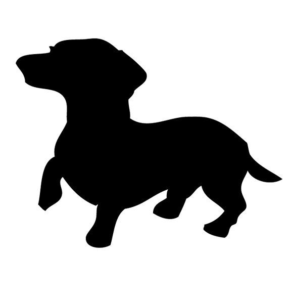 Dog Breeds - Dachshund Black And White, Transparent background PNG HD thumbnail