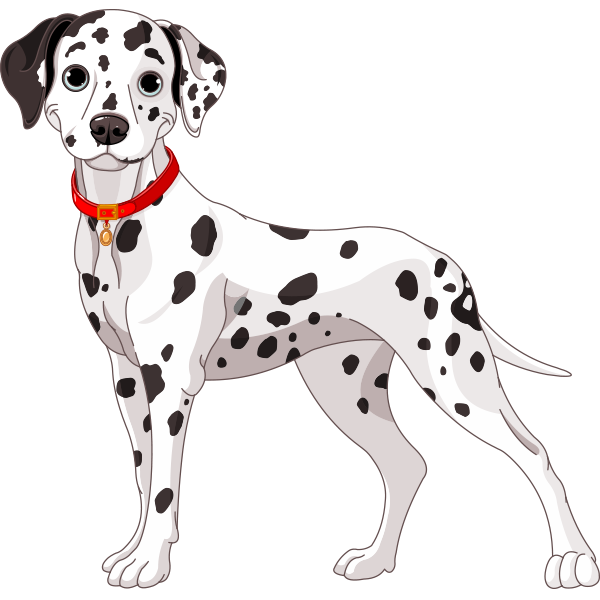Spotted Dog - Dalmatian Dog, Transparent background PNG HD thumbnail