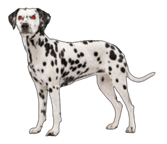 Susie Dalmatian Dog.png - Dalmatian Dog, Transparent background PNG HD thumbnail
