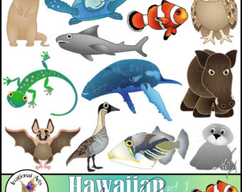 Hawaiian Animals Set 1 With 12 Digital Clipart Graphics Instant Download Clownfish Mongoose Shark Boar Gecko - Dance Team Kickline, Transparent background PNG HD thumbnail