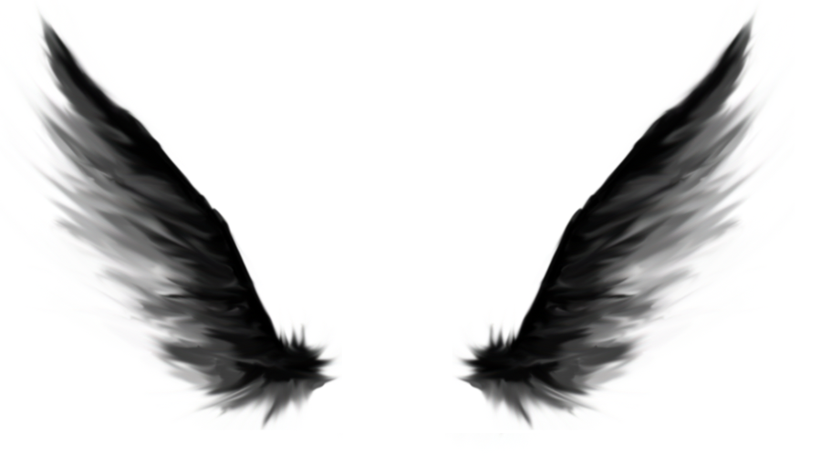 Dark Angel Wings By Dark Angel Wing - Dark Angel, Transparent background PNG HD thumbnail