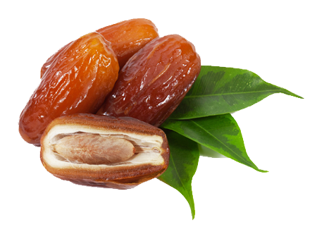 Dates Png Pic - Date Palm, Transparent background PNG HD thumbnail
