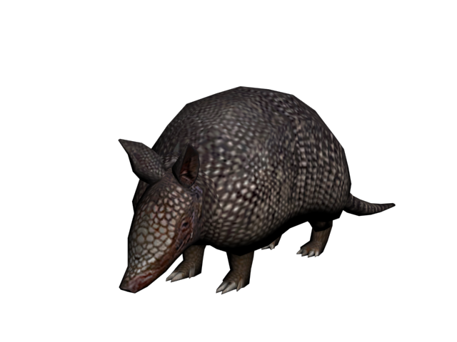 Armadillo.png - Dead Animal, Transparent background PNG HD thumbnail