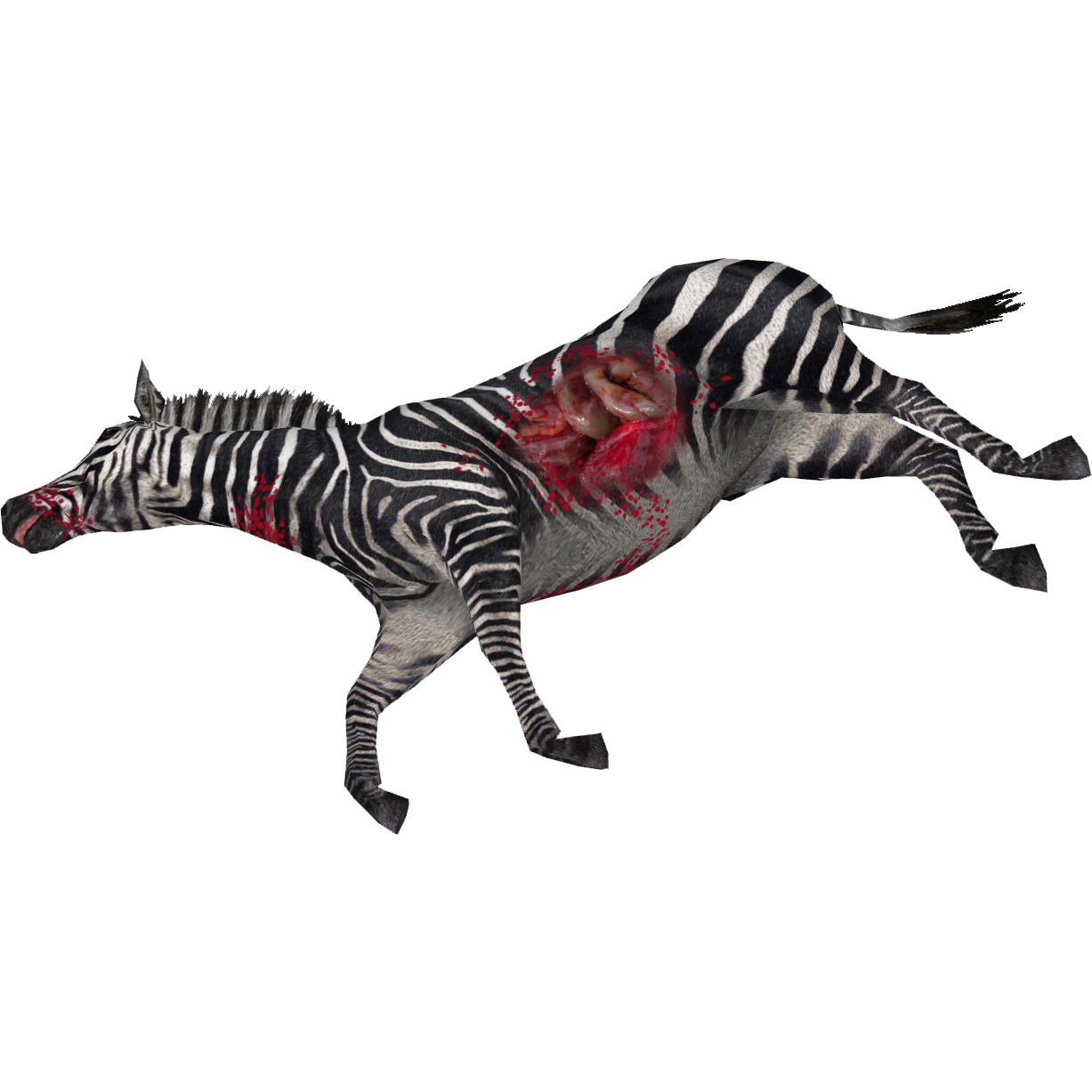 Dead Zebra (Tyranachu).png - Dead Animal, Transparent background PNG HD thumbnail