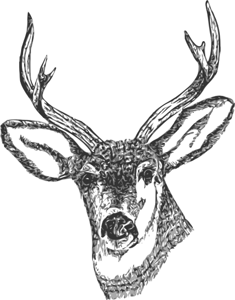Deer Head Clip Art Free Vector - Deer Head Black And White, Transparent background PNG HD thumbnail