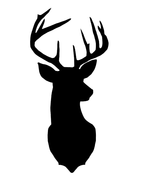 Deer Head Silhouette Plus - Deer Head Black And White, Transparent background PNG HD thumbnail