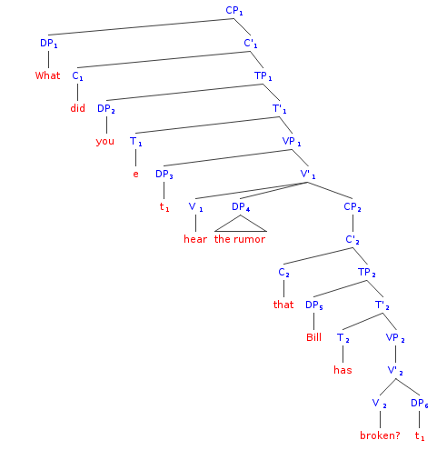 File:syntax Tree English   What Did You Hear The Rumor That Bill Has Broken - Did You Hear, Transparent background PNG HD thumbnail