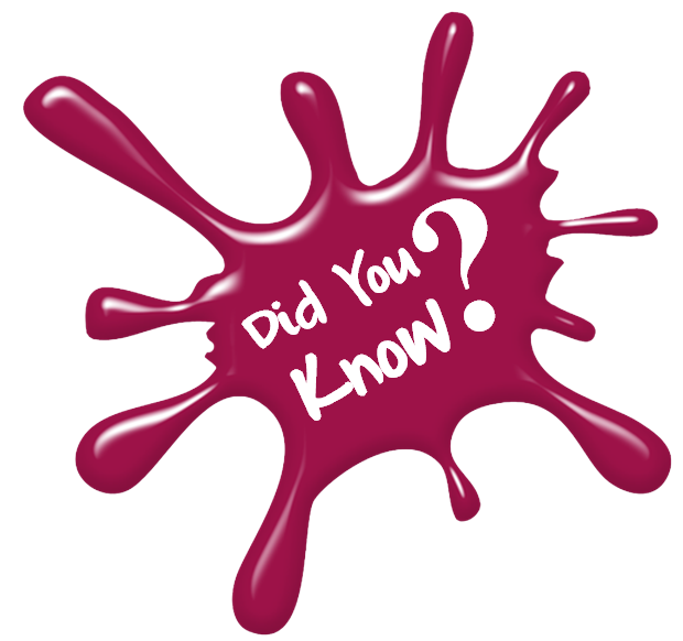 Discover Things That You Did Not Know - Did You Know, Transparent background PNG HD thumbnail