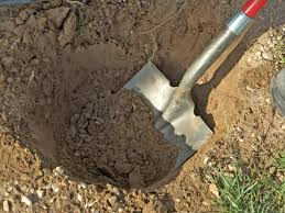 Man Digging a Hole. Parent Ca