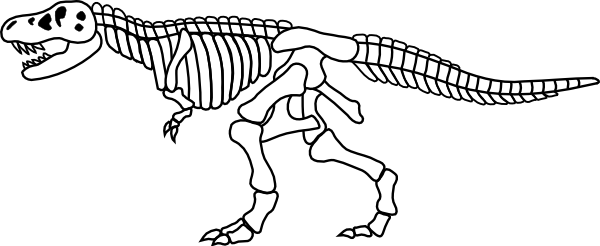 Dinosaur Skeleton Colouring Pages. View Larger - Dinosaur Bones, Transparent background PNG HD thumbnail
