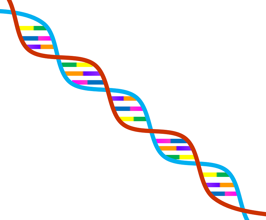 Dna, Genetics, Symbol, Biology, Research, Science   Png Genetics - Dna, Transparent background PNG HD thumbnail