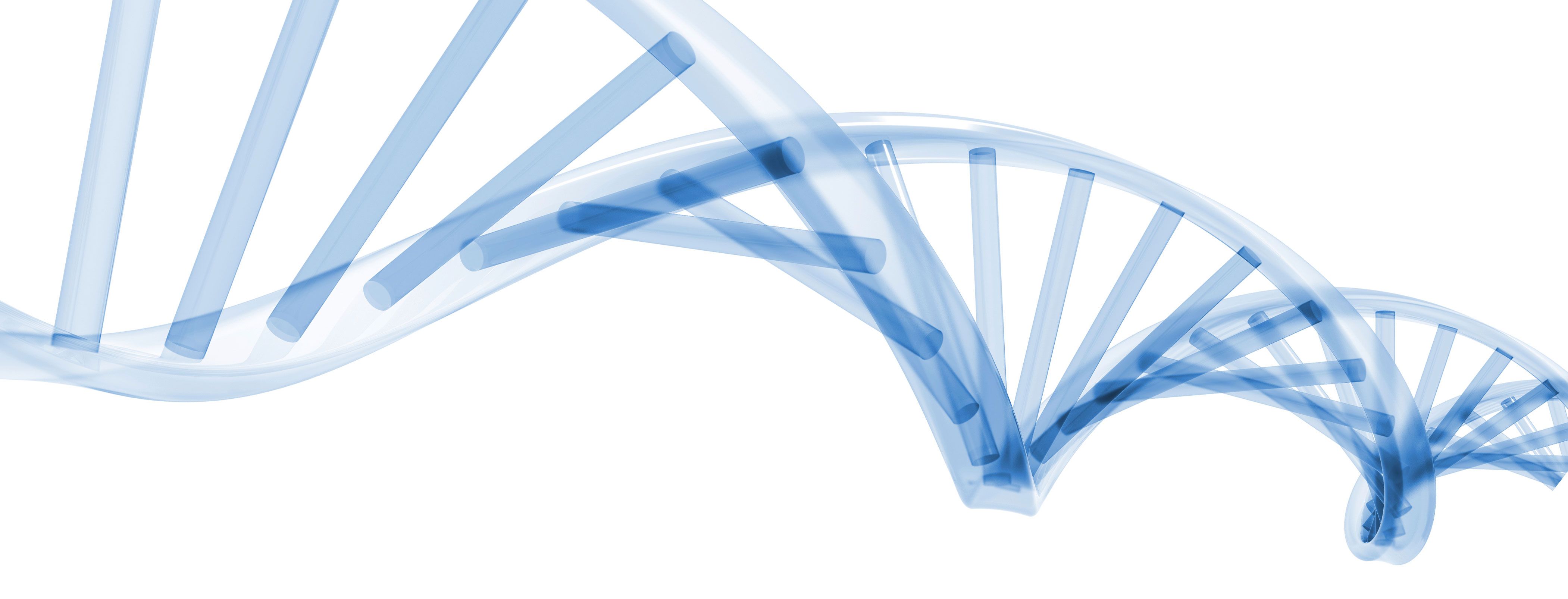 Synthetic Enzymes Hint At Life Without Dna Or Rna - Dna, Transparent background PNG HD thumbnail