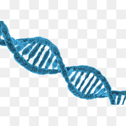 Ultra Hd Blue Dna - Dna, Transparent background PNG HD thumbnail