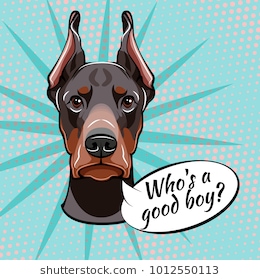 Isolated Colorful Head And Face Of Doberman Pinscher On Color Background. Line Color Flat Cartoon - Doberman Face, Transparent background PNG HD thumbnail