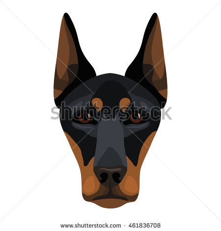 Vector Head Dog Doberman Face Icon - Doberman Face, Transparent background PNG HD thumbnail