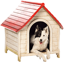 Dog In Kennel - Dog Kennel, Transparent background PNG HD thumbnail