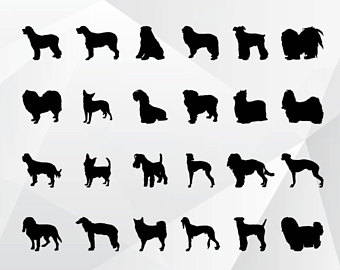 24 Dog Svg,png,jpg,eps/dog Clipart For Print,design - Dog Jpg, Transparent background PNG HD thumbnail