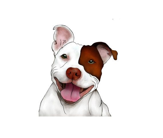 Happy Smiling Pitbull Illustration   Man Cave Art   Brown And White Dog   Play Room Art   Digital Clipart   Png   Jpg   Limited Commercial By On Etsy - Dog Jpg, Transparent background PNG HD thumbnail
