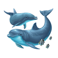 Dolphin Png File Png Image - Dolphin, Transparent background PNG HD thumbnail
