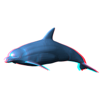 Dolphin Png Pic Png Image - Dolphin, Transparent background PNG HD thumbnail