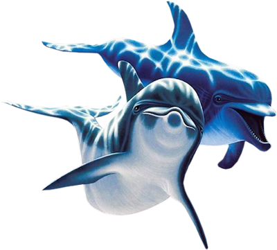Dolphins Png Image - Dolphin, Transparent background PNG HD thumbnail