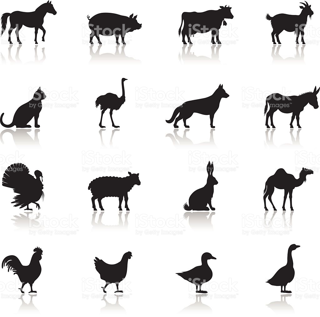 Icon Set Of Farm Animals On White Background Royalty Free Icon Set Of Farm Animals - Domestic Animals Black And White, Transparent background PNG HD thumbnail