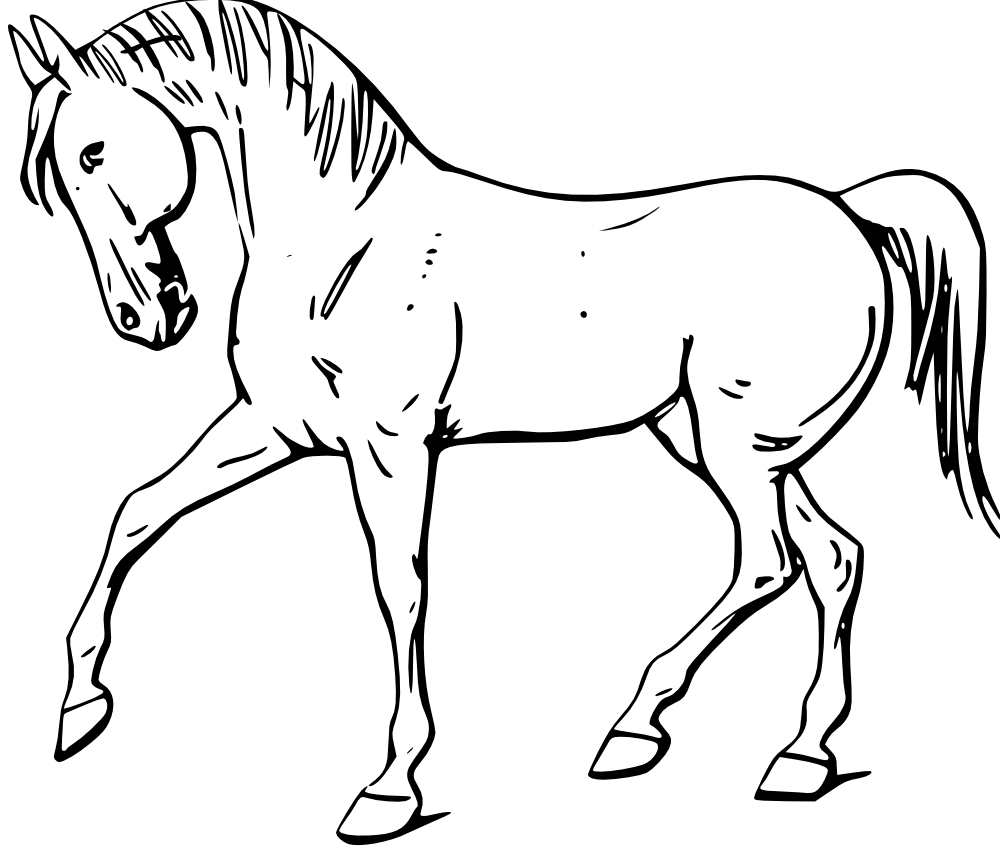 Outline Drawing Of Domestic Animals   Yahoo Image Search Results - Domestic Animals Black And White, Transparent background PNG HD thumbnail