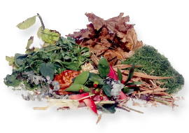 Kirklees Council Charge For Garden Waste Collections - Domestic Waste, Transparent background PNG HD thumbnail