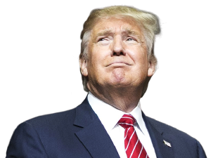 Donald Trump Png Png Image - Donald Trump, Transparent background PNG HD thumbnail