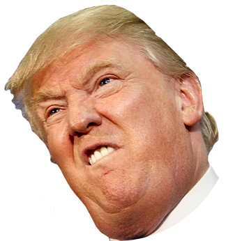 Donald Trump Face Png Image #38895 - Donald Trump, Transparent background PNG HD thumbnail