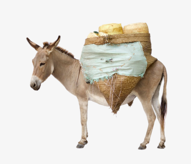 Donkey Laden With Goods, Animal, Creative, Hd Clips Free Png Free Png Image - Donkey, Transparent background PNG HD thumbnail