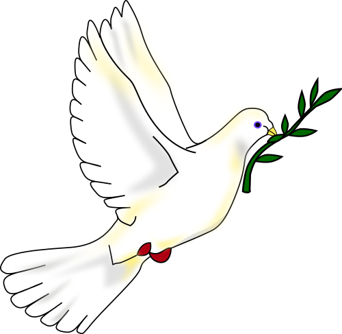 This Image Rendered As Png In Other Widths: 200Px, 500Px, Hdpng.com  - Dove, Transparent background PNG HD thumbnail