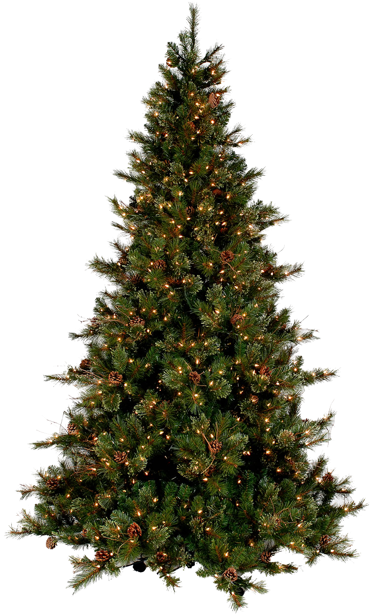 Download Christmas Tree Png Images Transparent Gallery. Advertisement - Christmas Tree, Transparent background PNG HD thumbnail