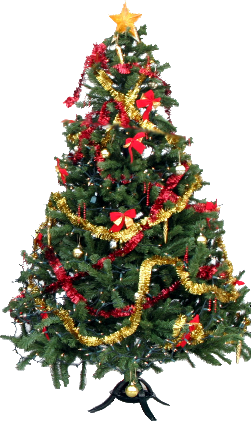 Christmas Tree Png - Download Christmas Tree Png Images Transparent Gallery. Advertisement, Transparent background PNG HD thumbnail
