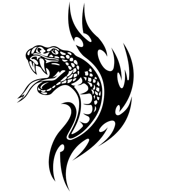 Download Snake Tattoo Png Images Transparent Gallery. Advertisement - Snake Tattoo, Transparent background PNG HD thumbnail